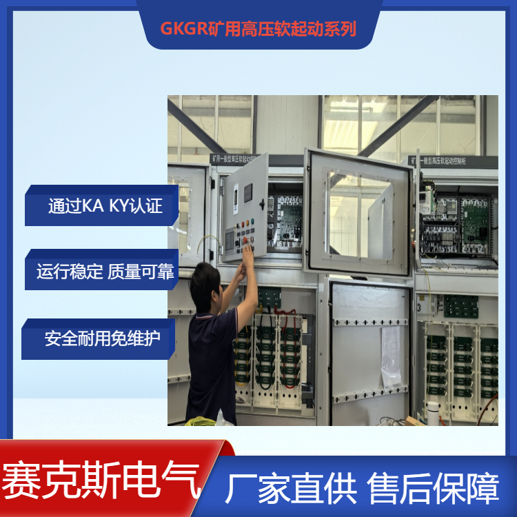礦用可控硅高壓軟啟動(dòng)柜 賽克斯廠家直供 價(jià)格合理